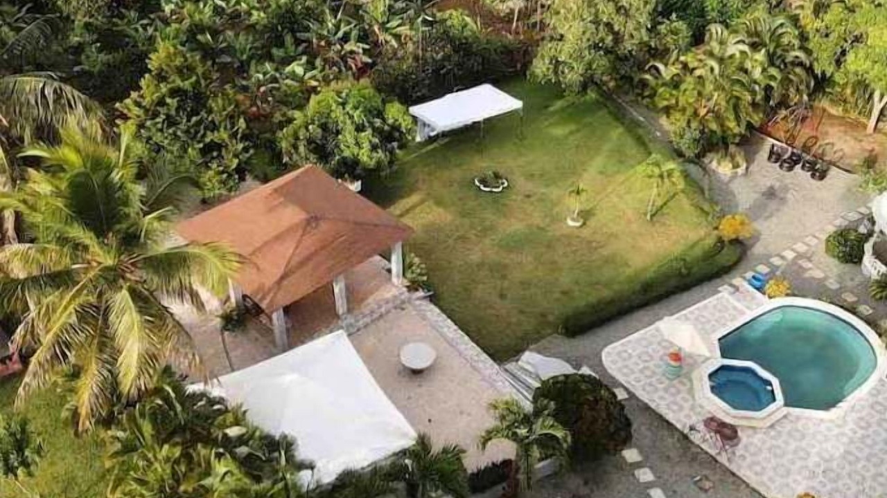 Photo of Outdoor in Pedro Brand