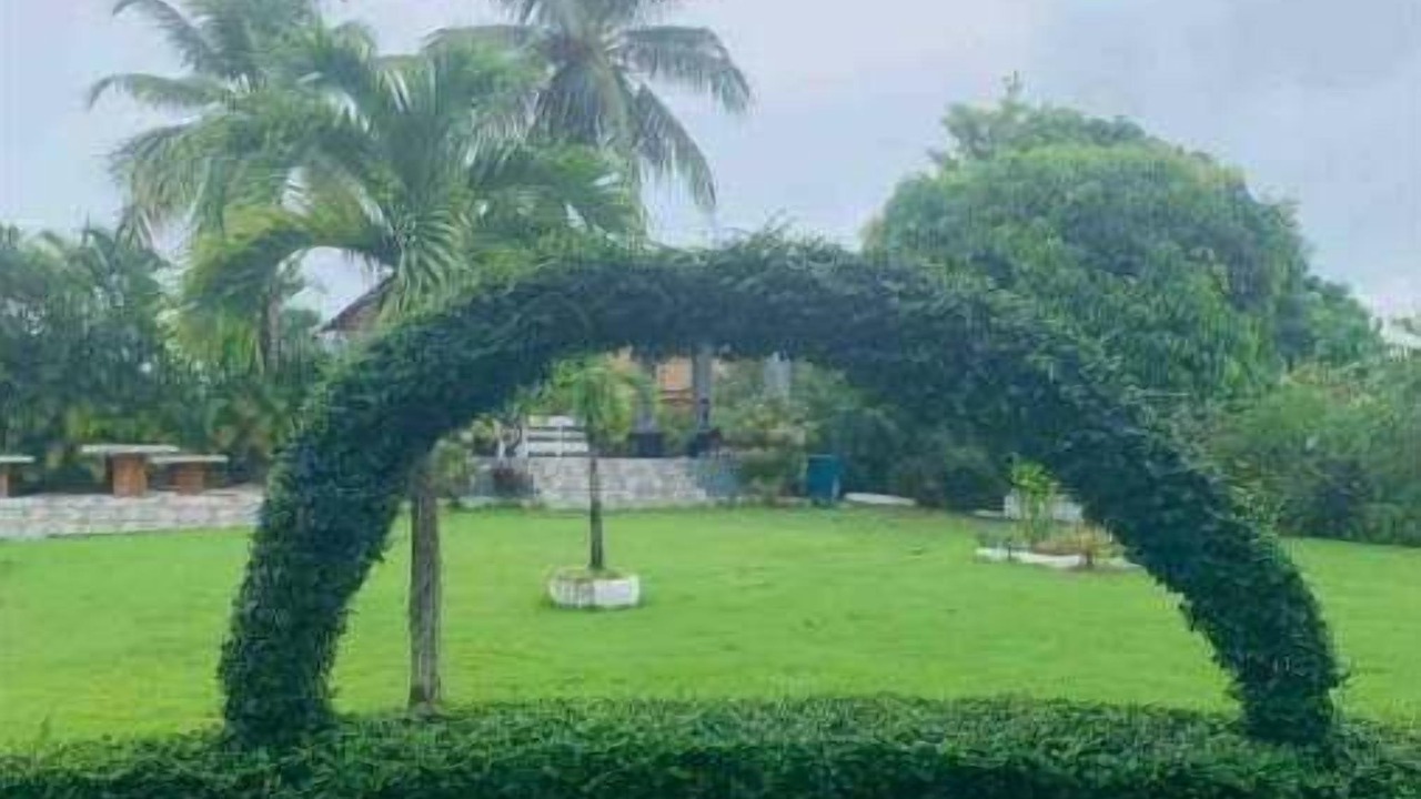 Photo of Outdoor in Pedro Brand