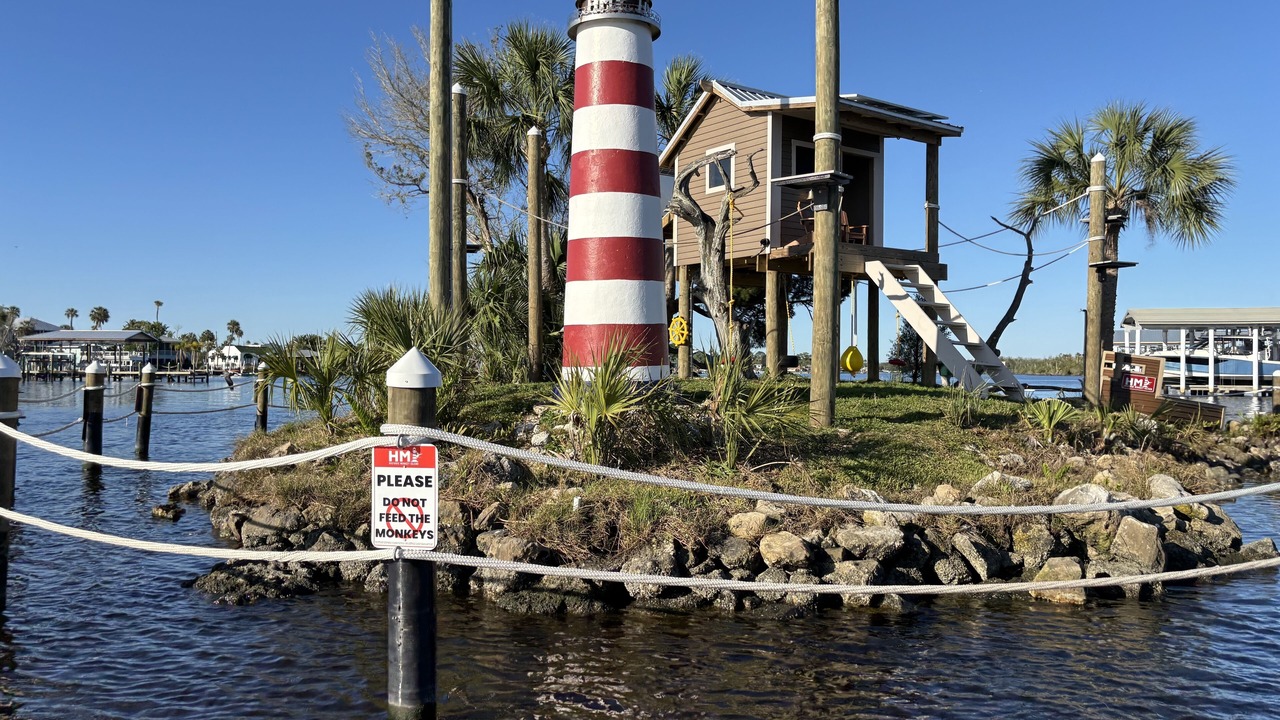 Photo of Others in Homosassa