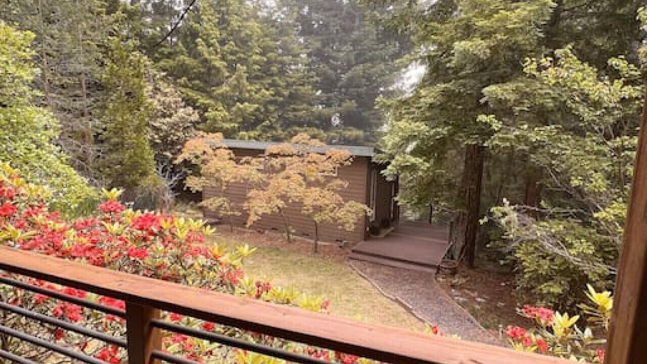 Photo of Outdoor in Gualala