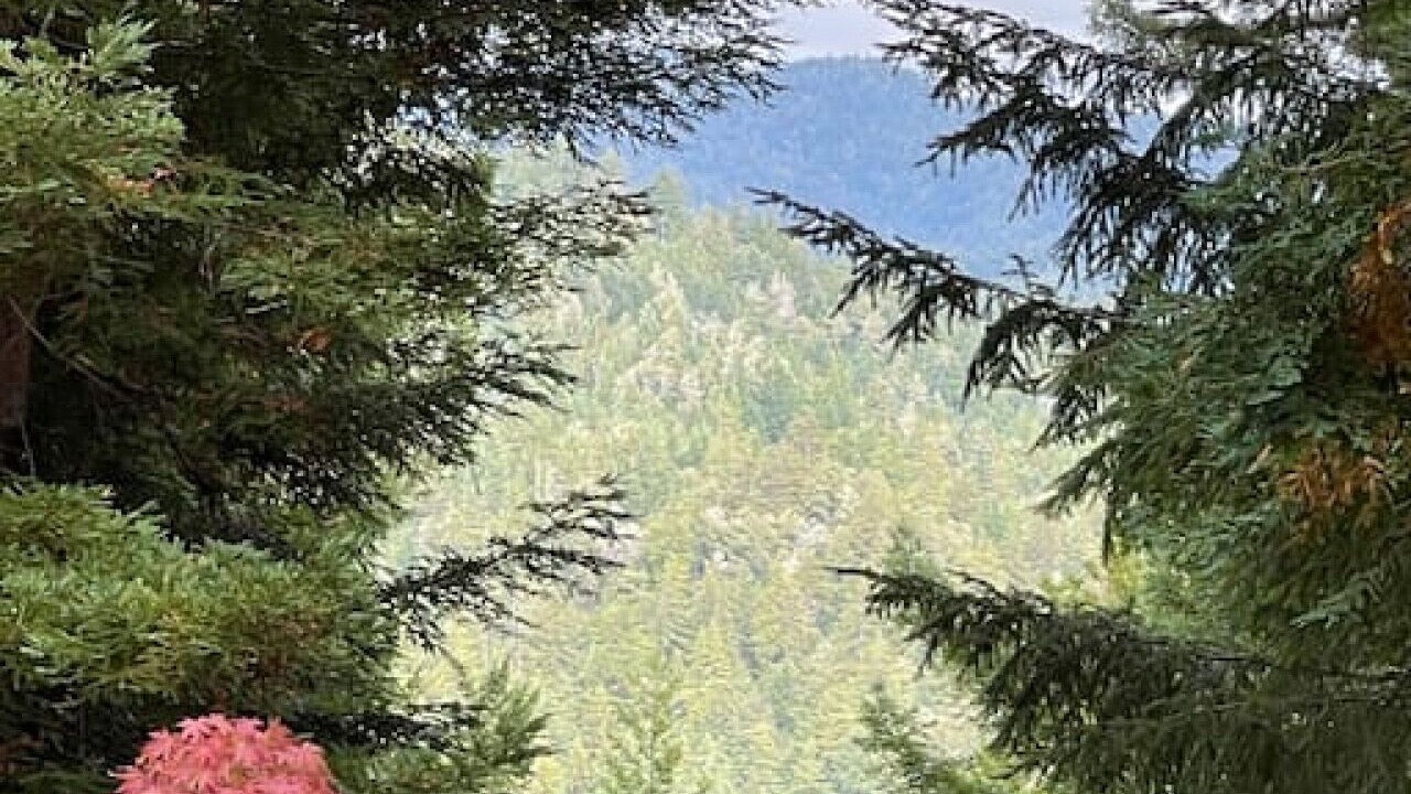 Photo of Outdoor in Gualala