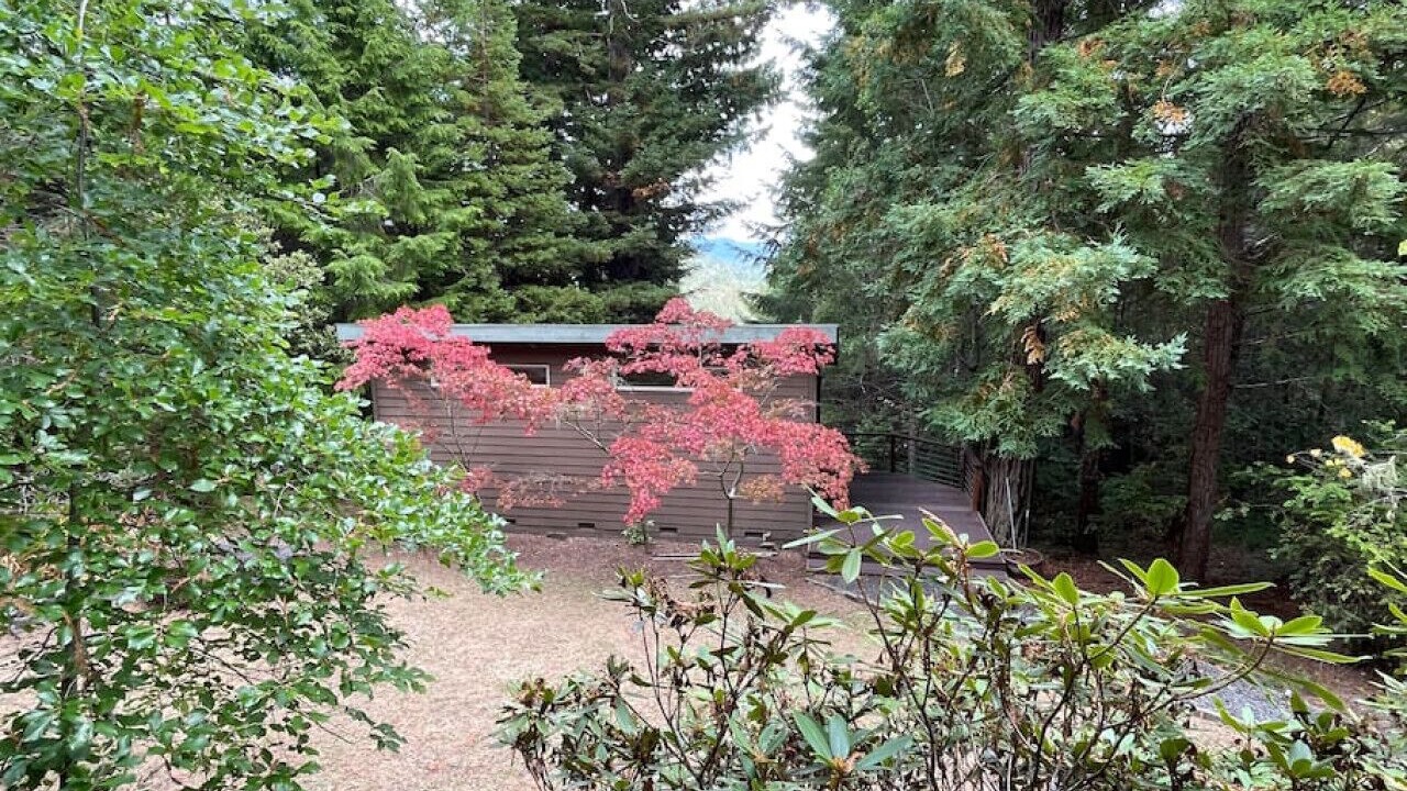 Photo of Outdoor in Gualala