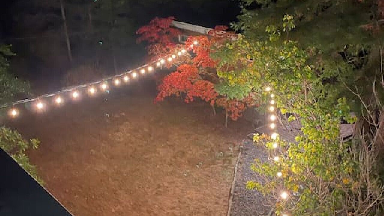 Photo of Outdoor in Gualala