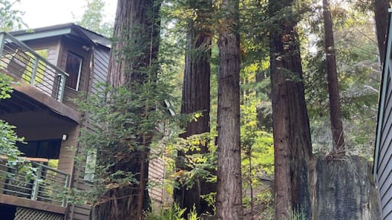 Photo of Outdoor in Gualala