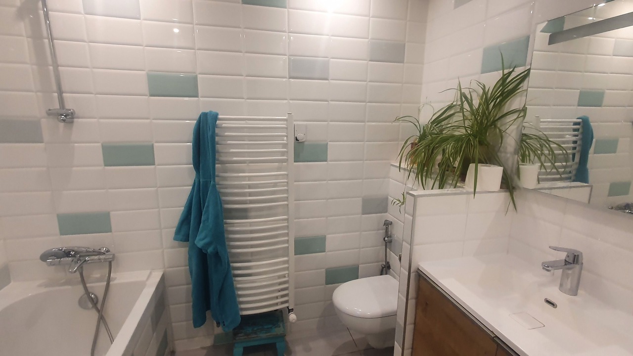 Photo of Bathroom in Malakoff