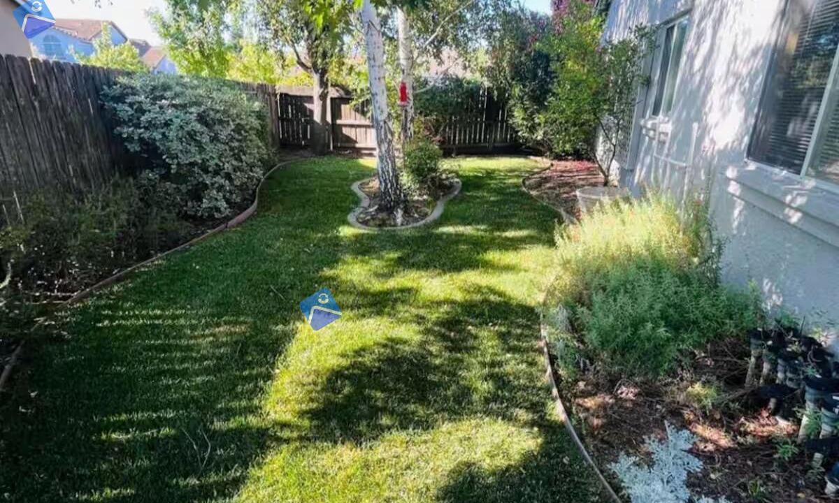 Photo of Outdoor in West Sacramento