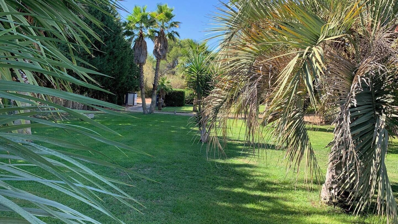 Photo of Outdoor in Saint-Jean-de-Vedas