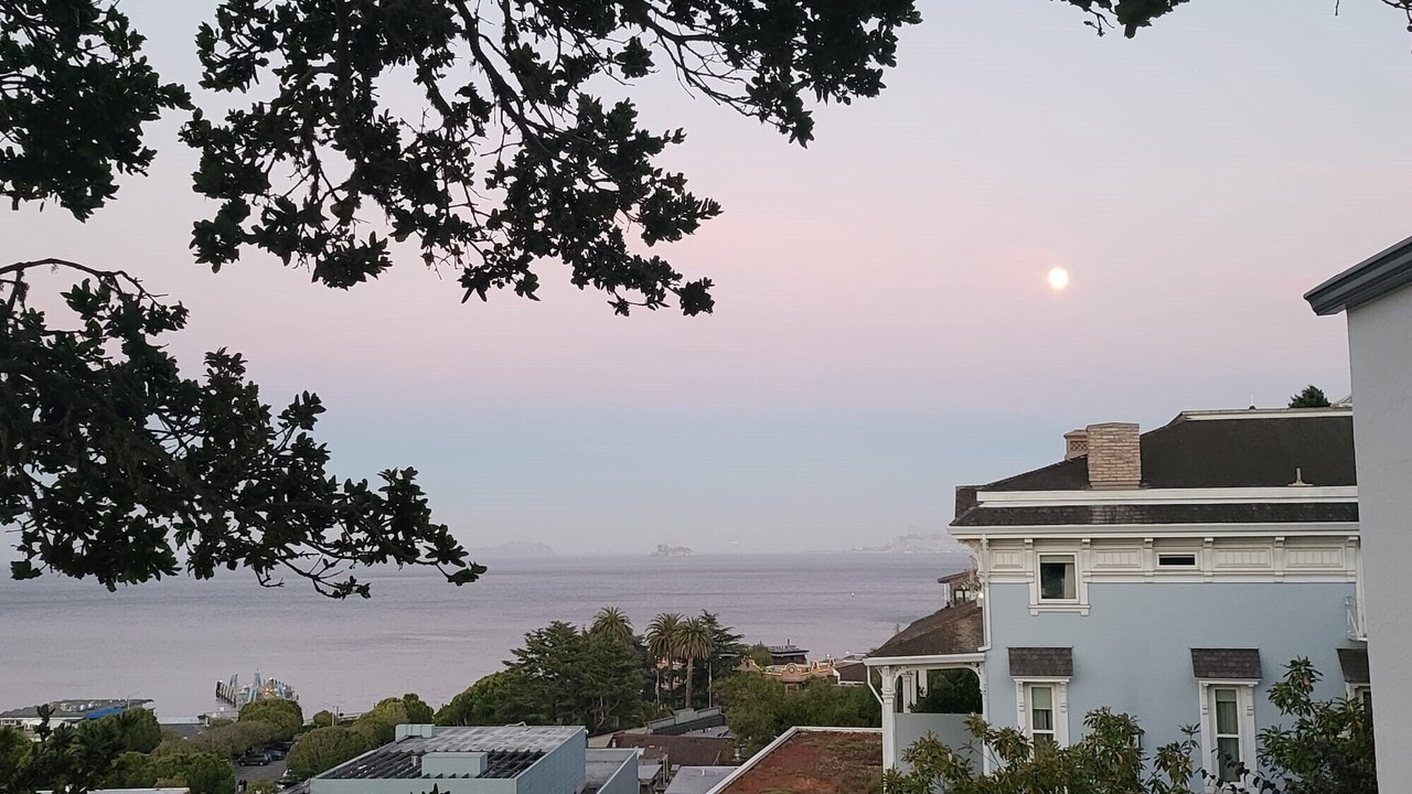 Photo of Others in Sausalito