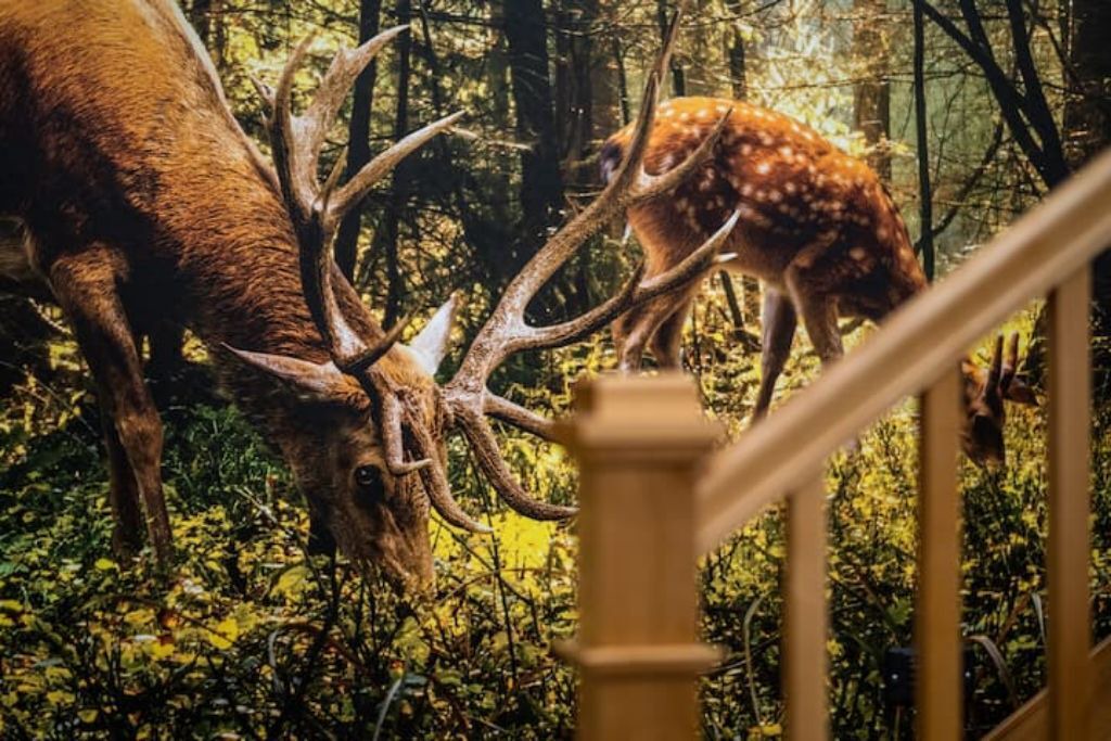 Photo of Outdoor in Paradise Estates