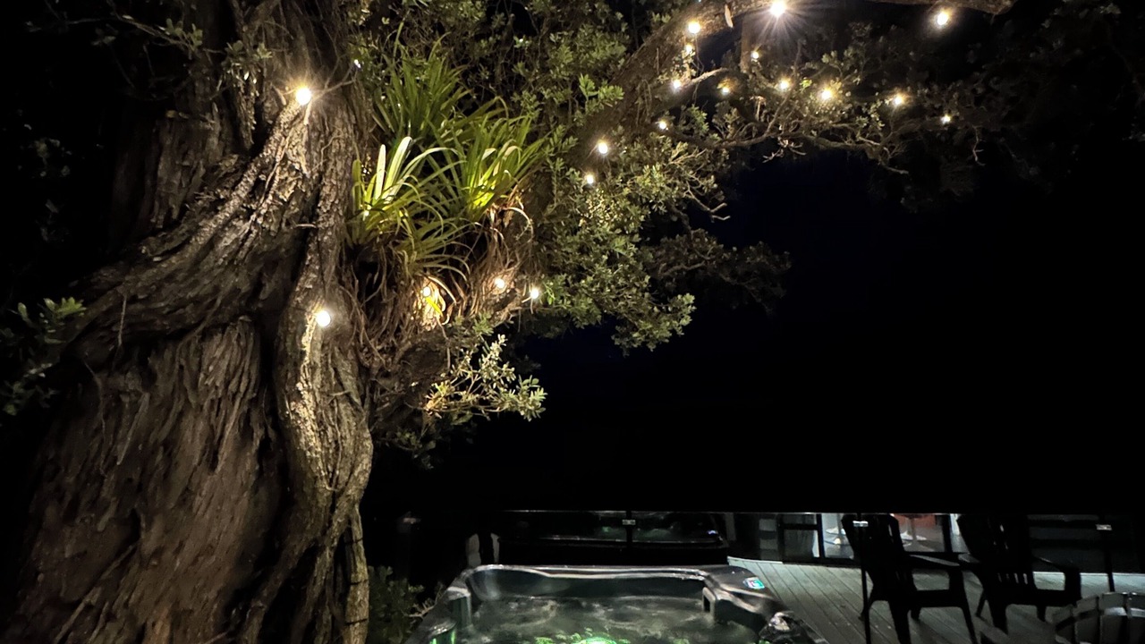 Photo of Others in Ngunguru