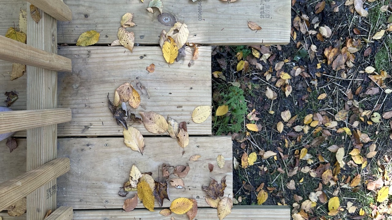 Photo of Others in Staatsburg