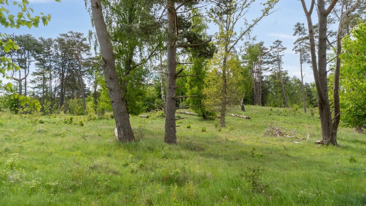 Photo of Outdoor in Tisvildeleje