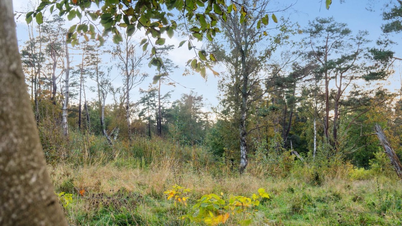 Photo of Others in Tisvildeleje