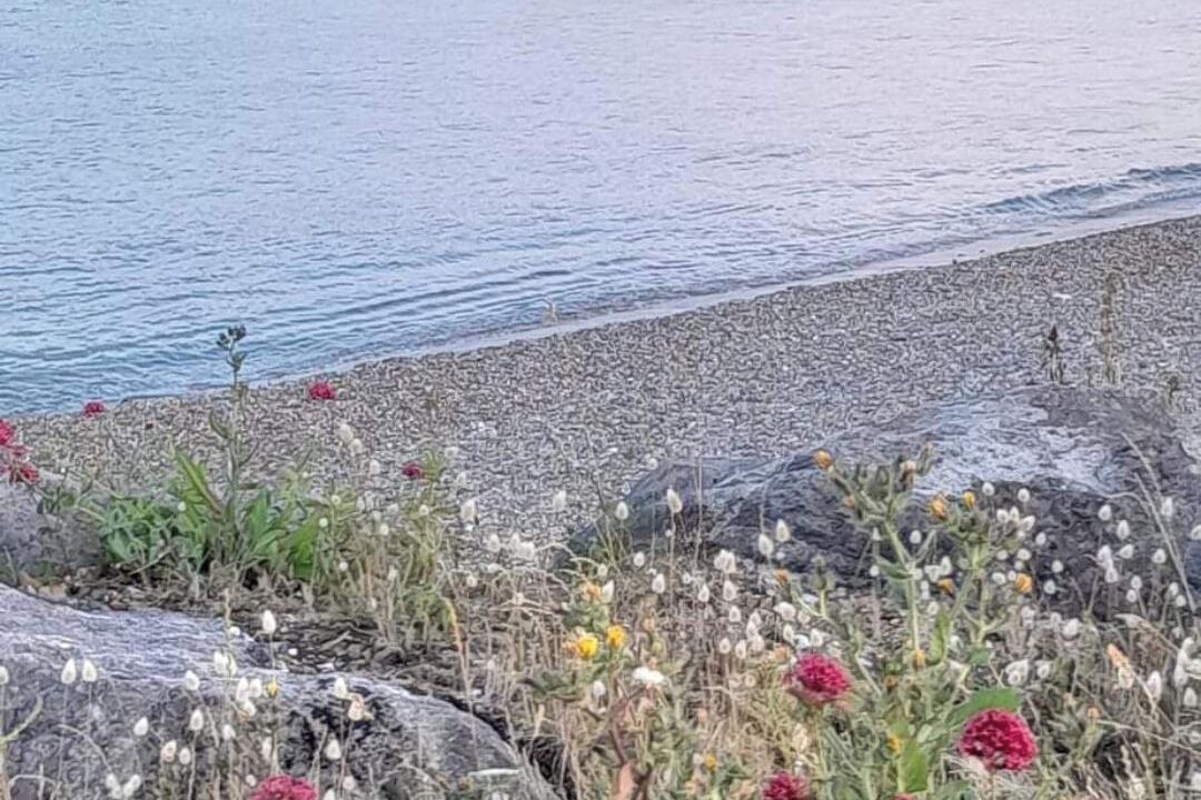 Photo of Others in Middleton-on-Sea