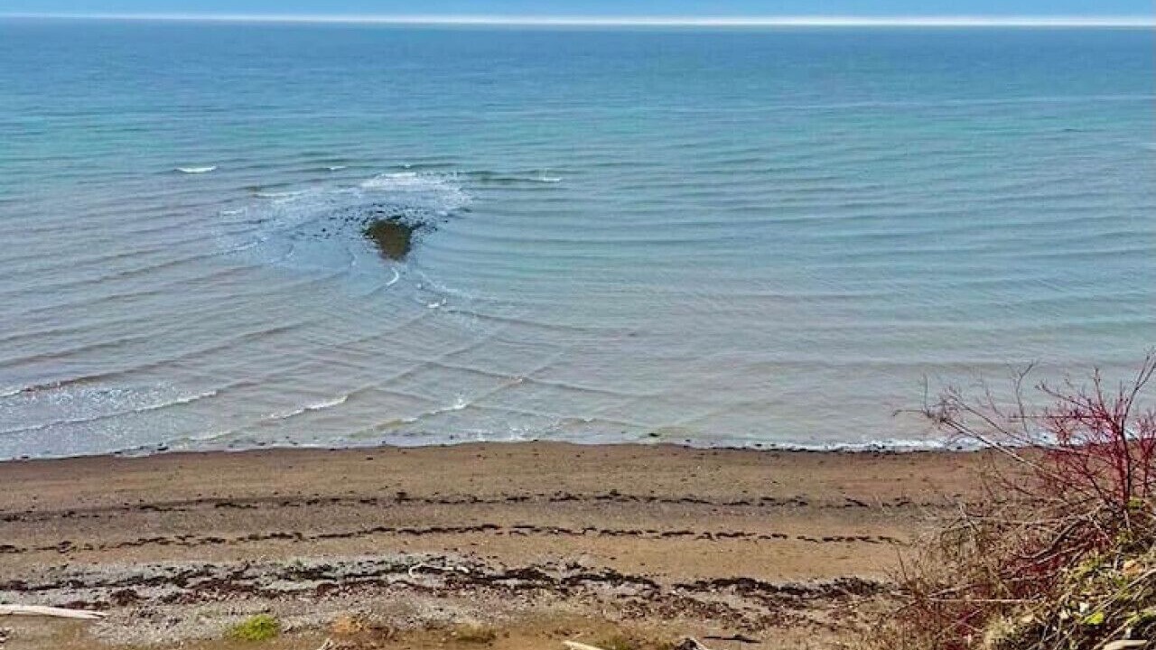 Photo of Others in Carleton-sur-Mer