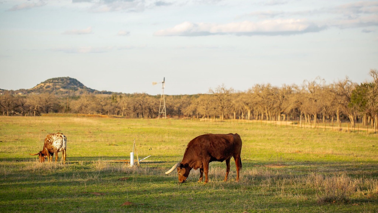 Photo of Others in Fredericksburg