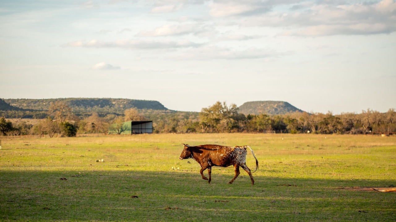 Photo of Outdoor in Fredericksburg