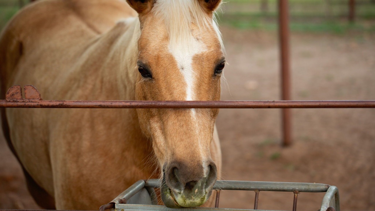 Photo of Others in Fredericksburg