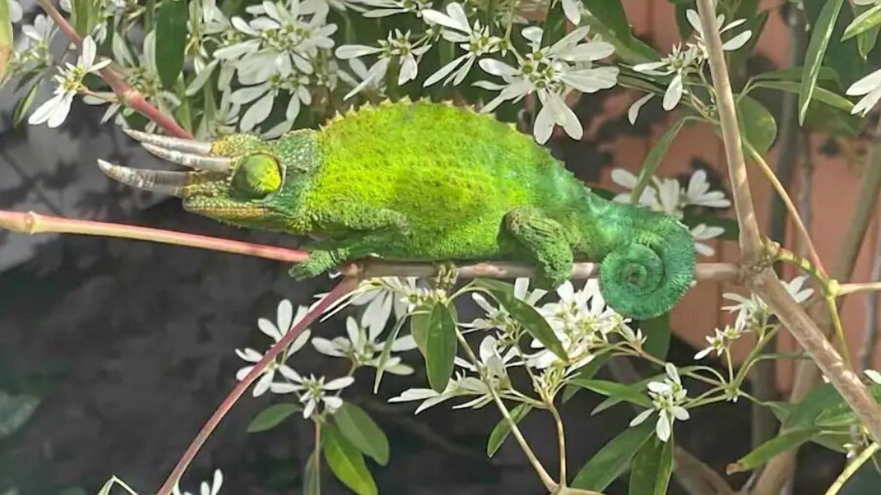 Photo of Others in Ocean View