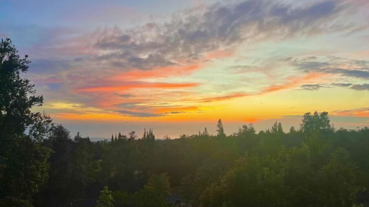 Photo of Others in Ocean View