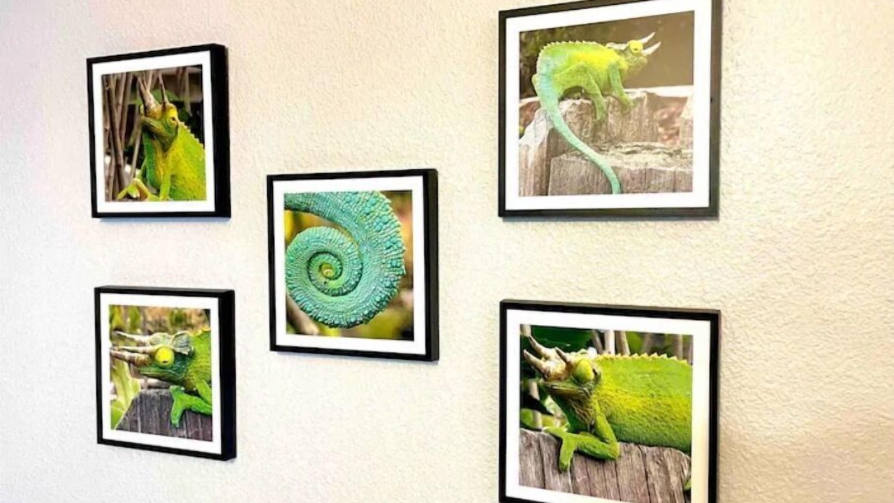 Photo of Others in Ocean View