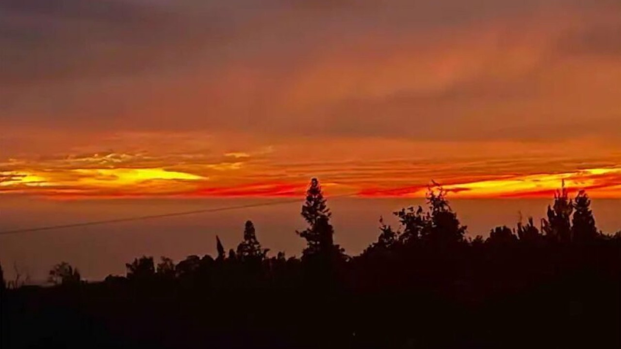 Photo of Others in Ocean View