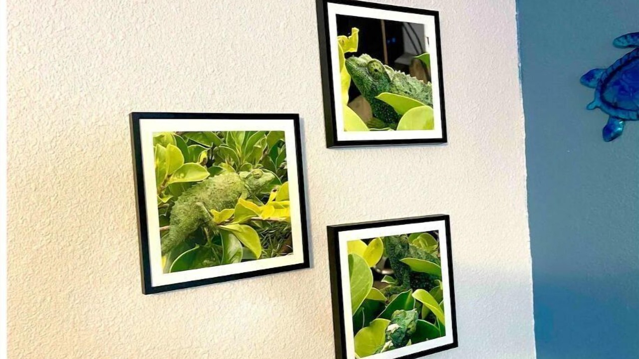 Photo of Others in Ocean View