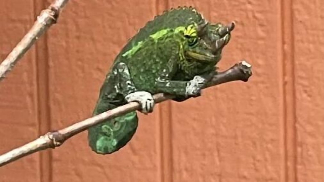 Photo of Others in Ocean View