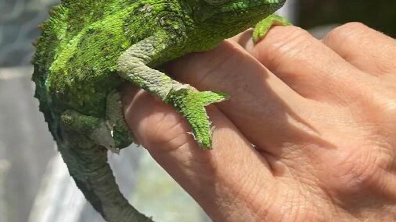 Photo of Others in Ocean View