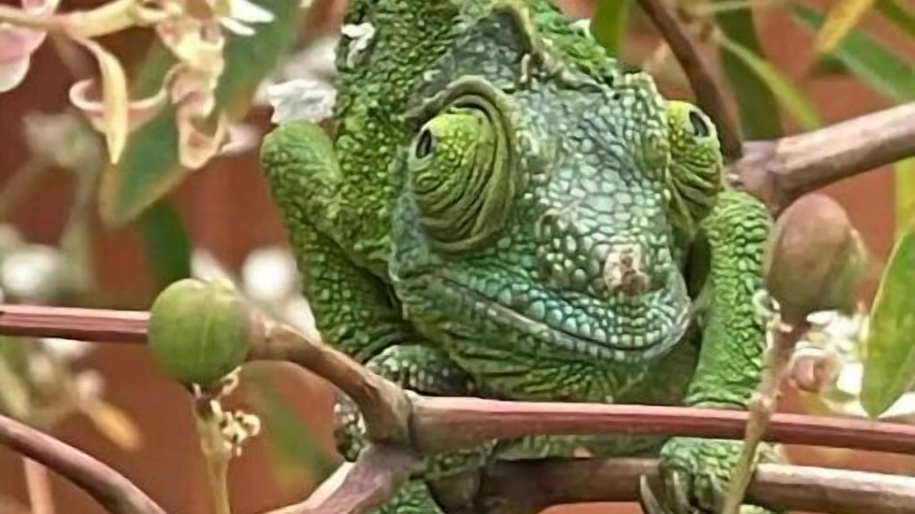 Photo of Others in Ocean View