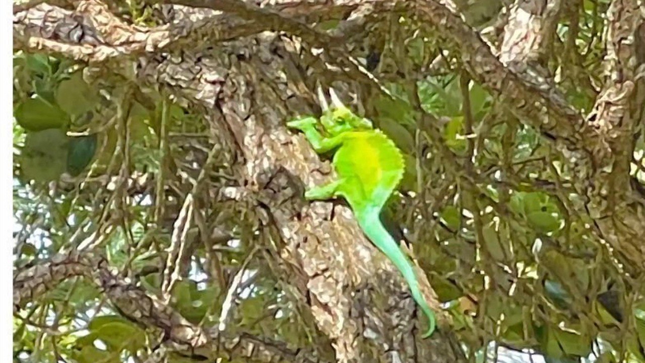 Photo of Bedroom in Ocean View