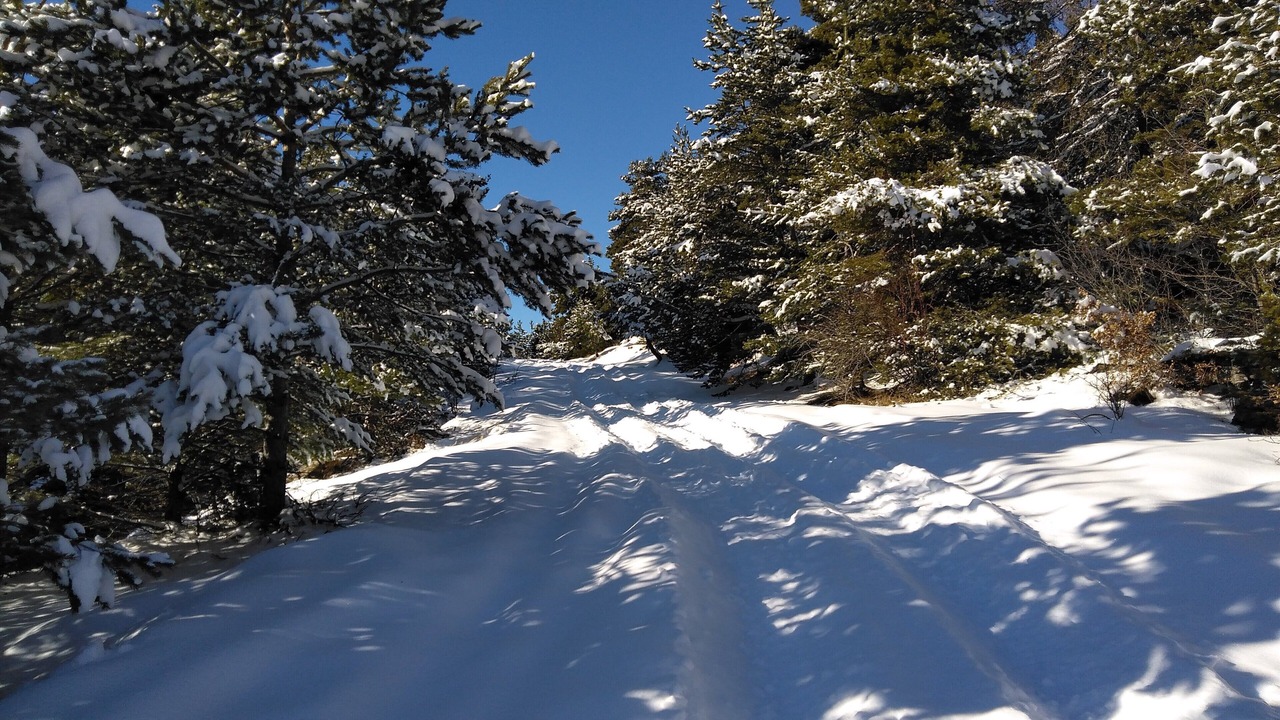 Photo of Outdoor in Chorges
