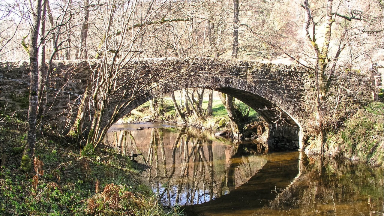 Photo of Others in Saint-Pal-de-Senouire