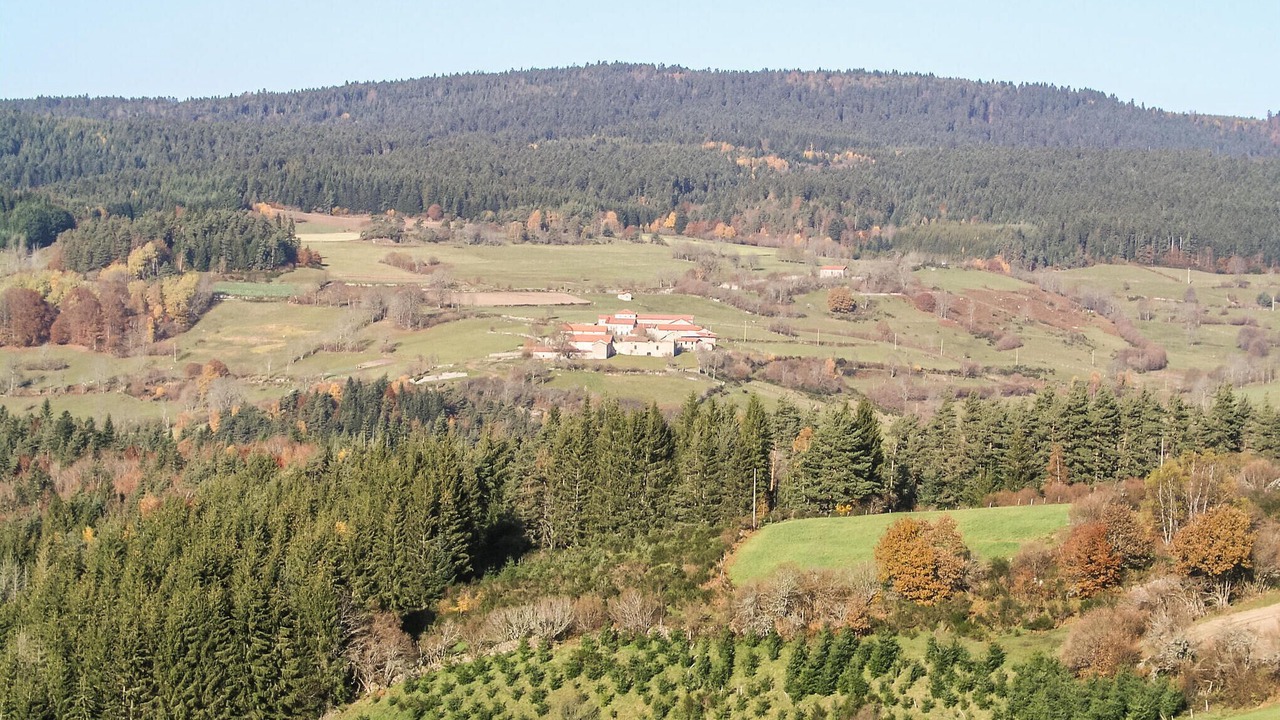 Photo of Others in Saint-Pal-de-Senouire