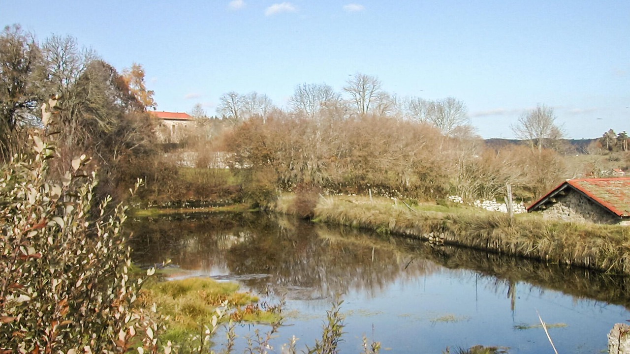 Photo of Others in Saint-Pal-de-Senouire
