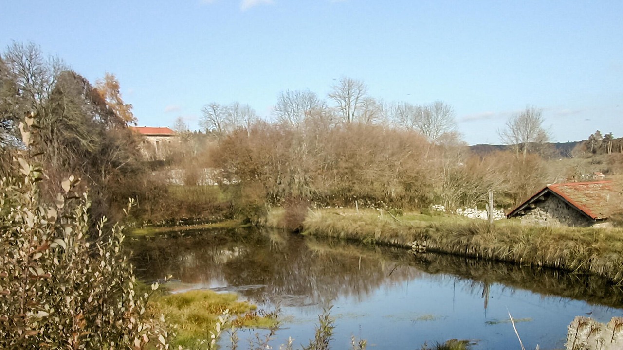 Photo of Others in Saint-Pal-de-Senouire