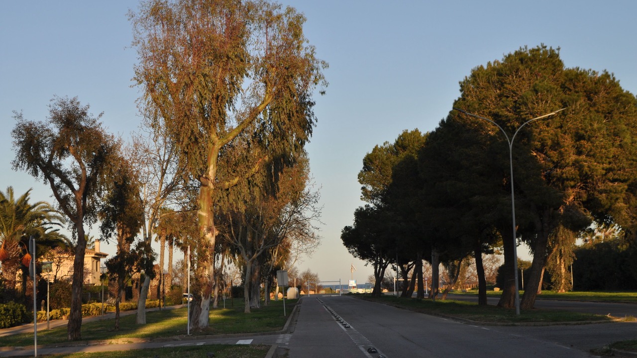 Photo of Others in Sant Pere Pescador