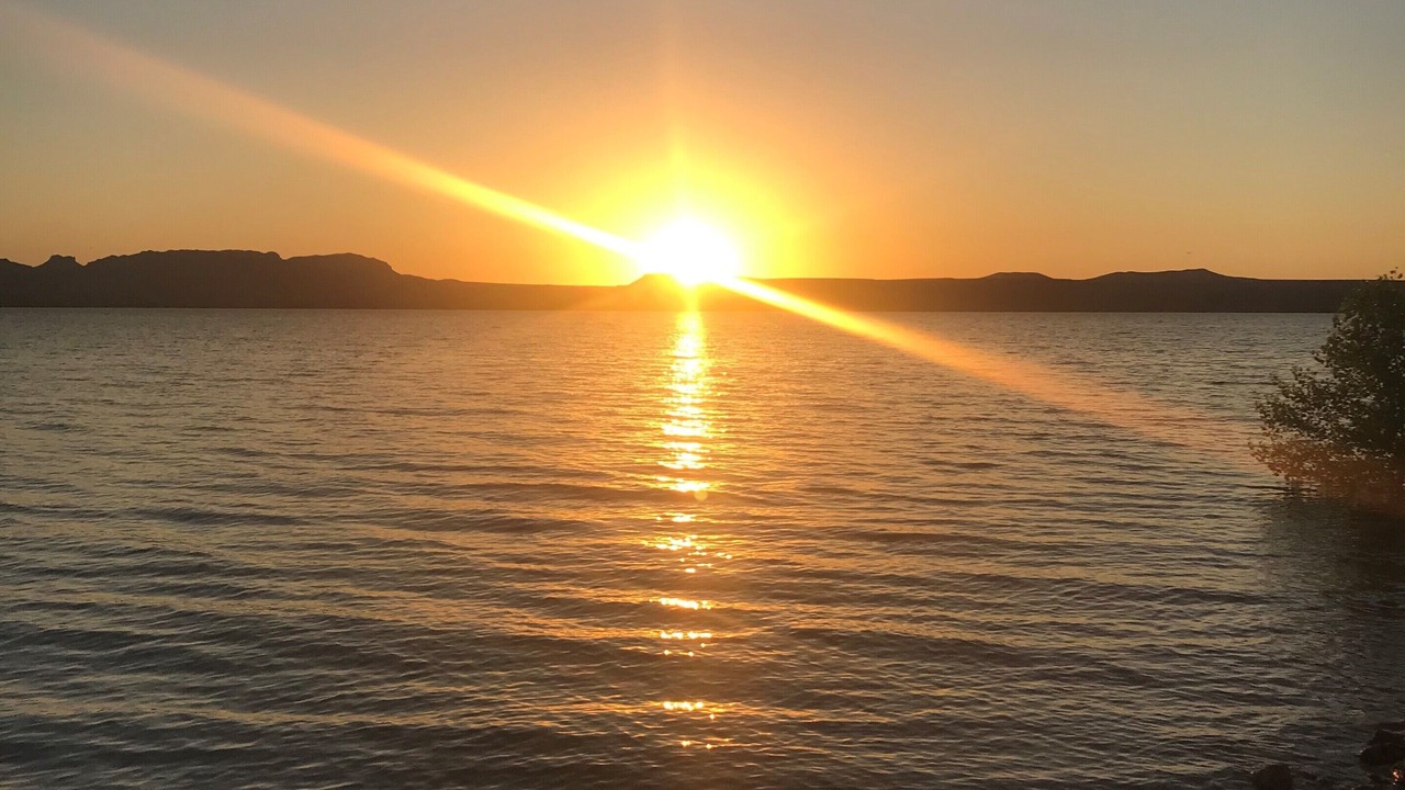 Photo of Others in Elephant Butte