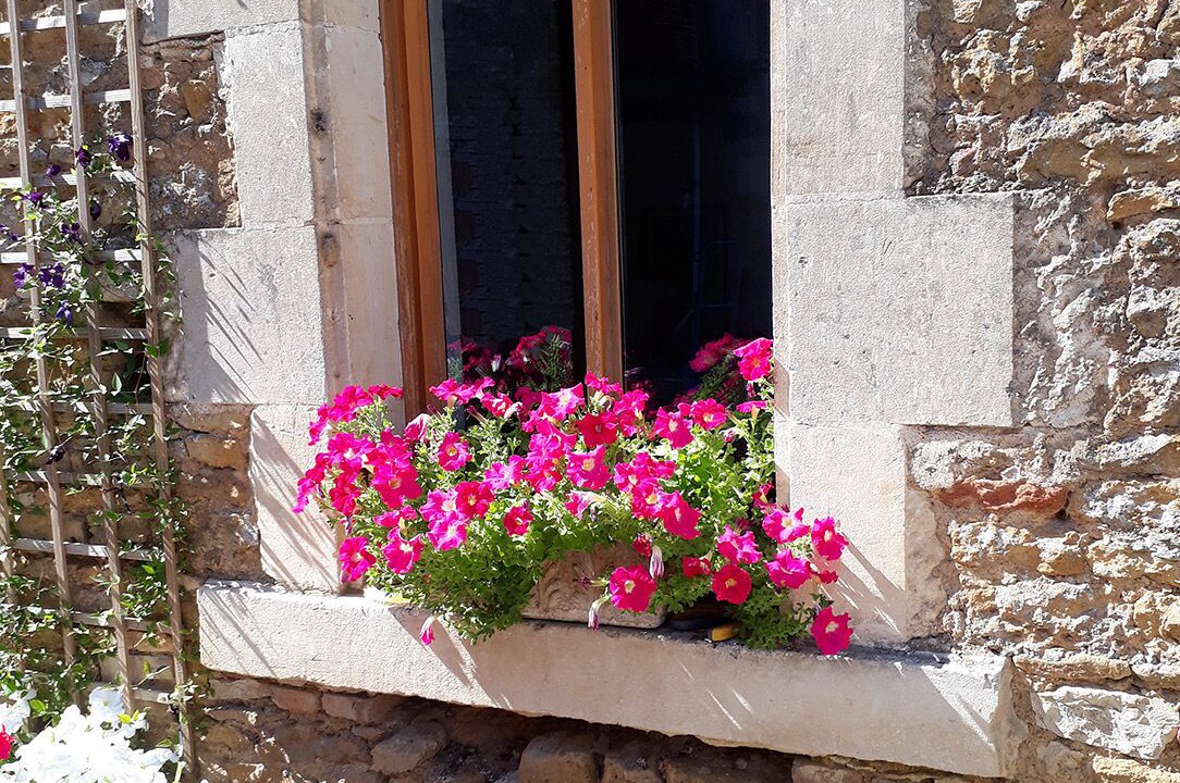 Photo of Outdoor in Bazoges-en-Pareds