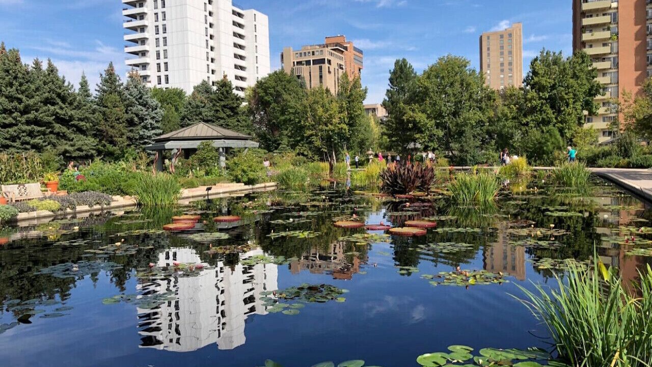 Photo of Outdoor in Cheesman Park
