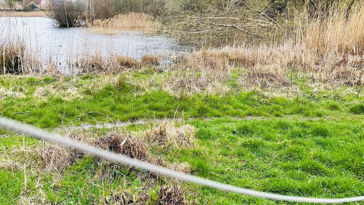 Photo of Outdoor in St Neots