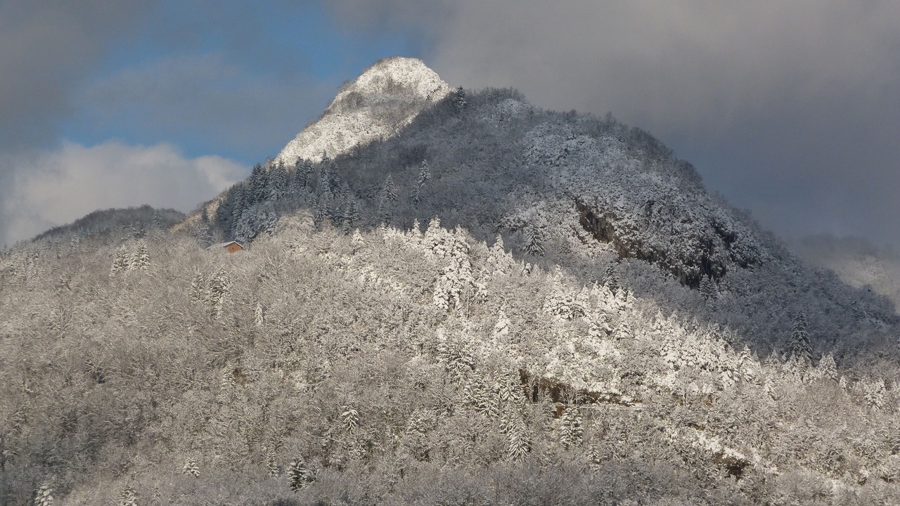 Photo of Others in Saint-Claude