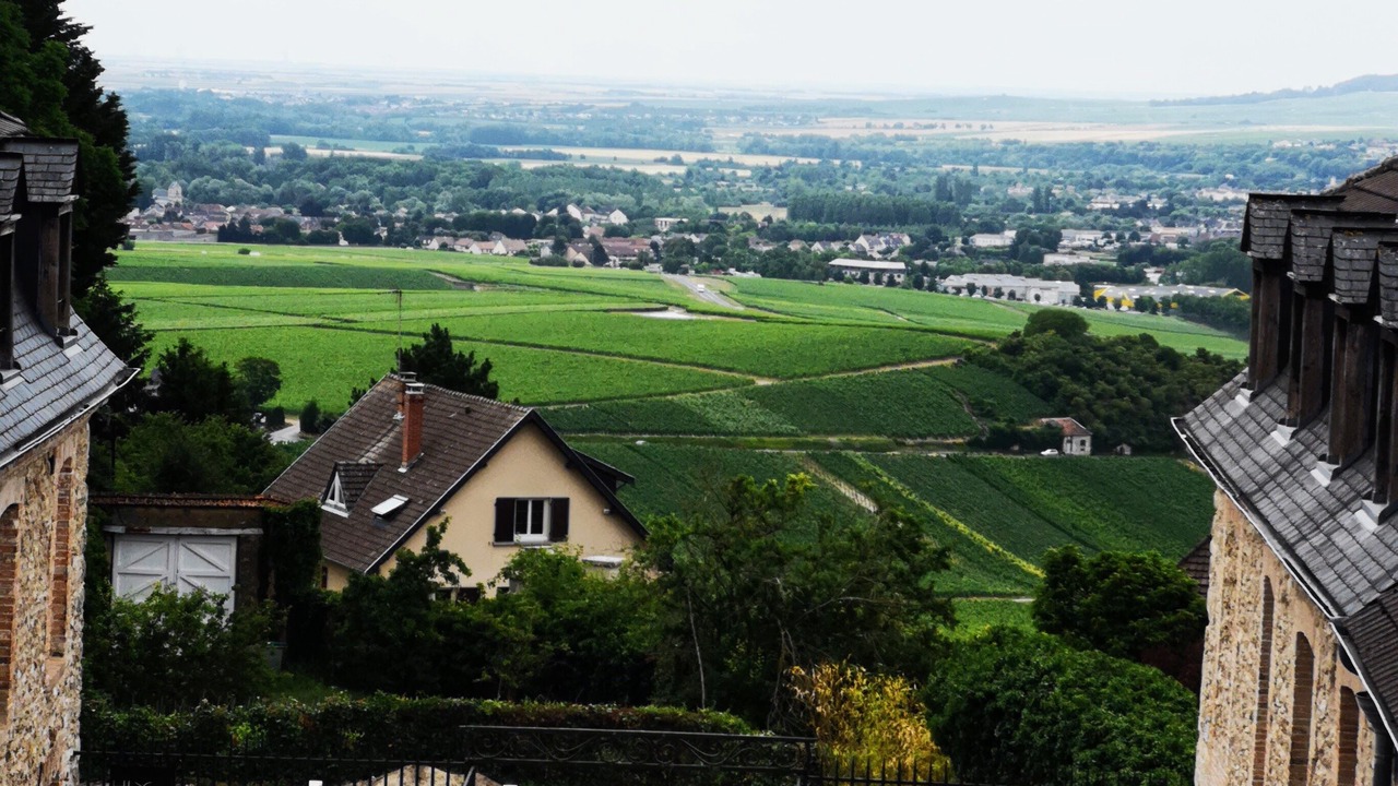 Photo of Outdoor in Hautvillers