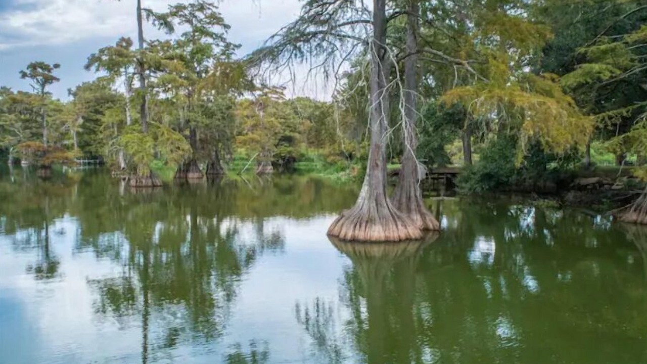 Photo of Outdoor in Ferriday