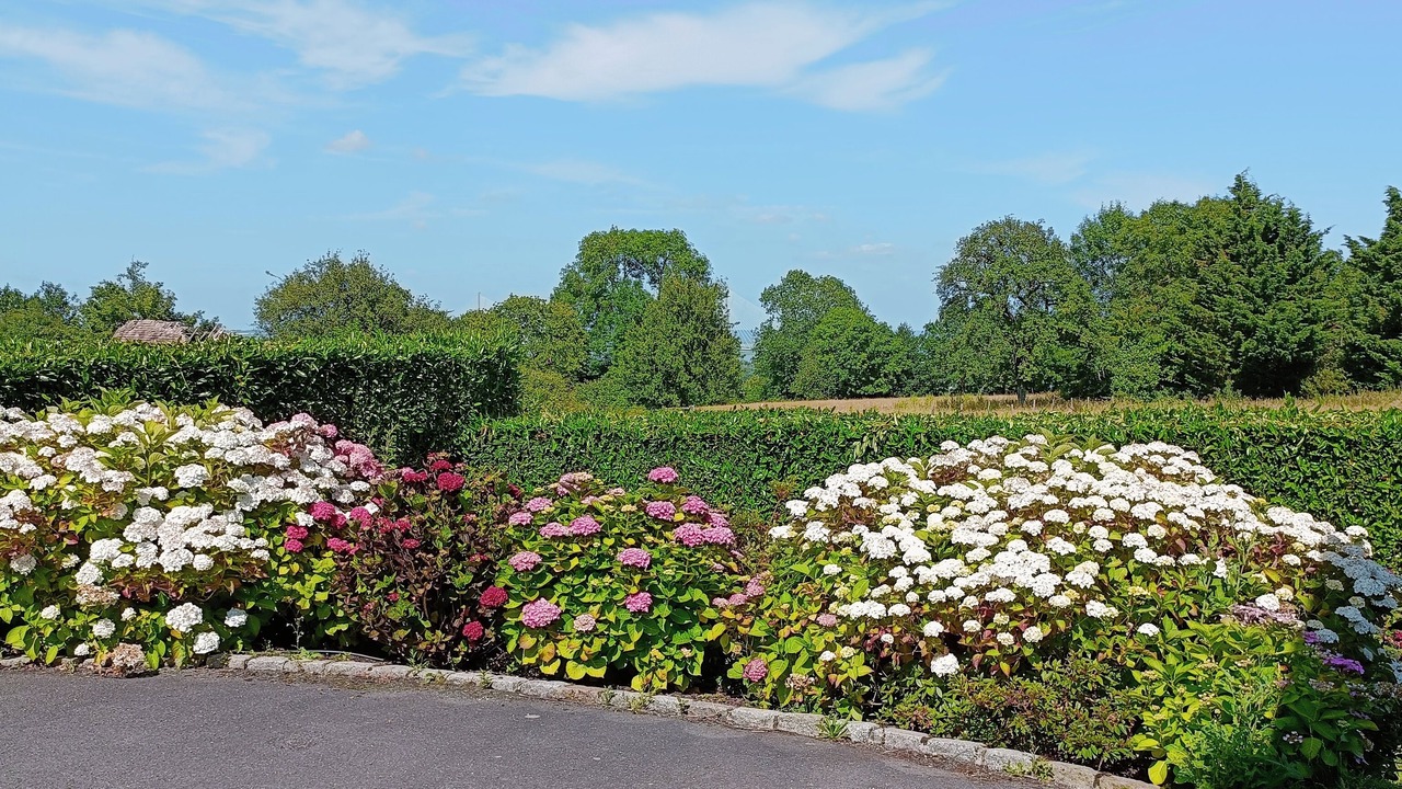 Photo of Outdoor in Honfleur