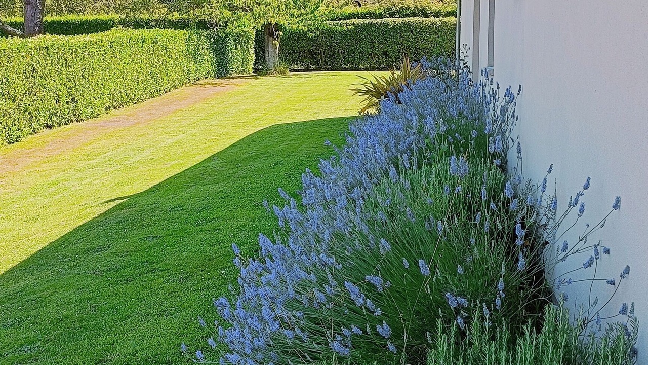 Photo of Outdoor in Honfleur