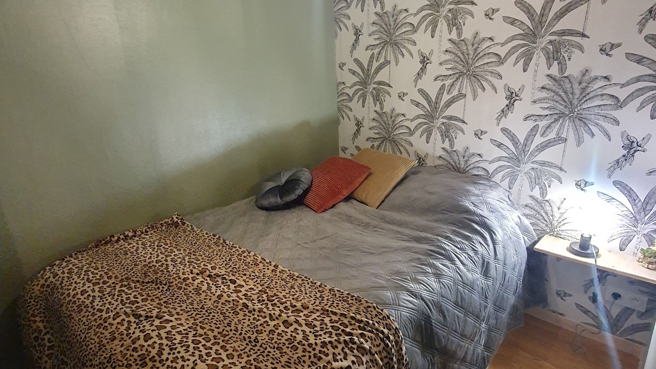 Photo of Bedroom in Tulle