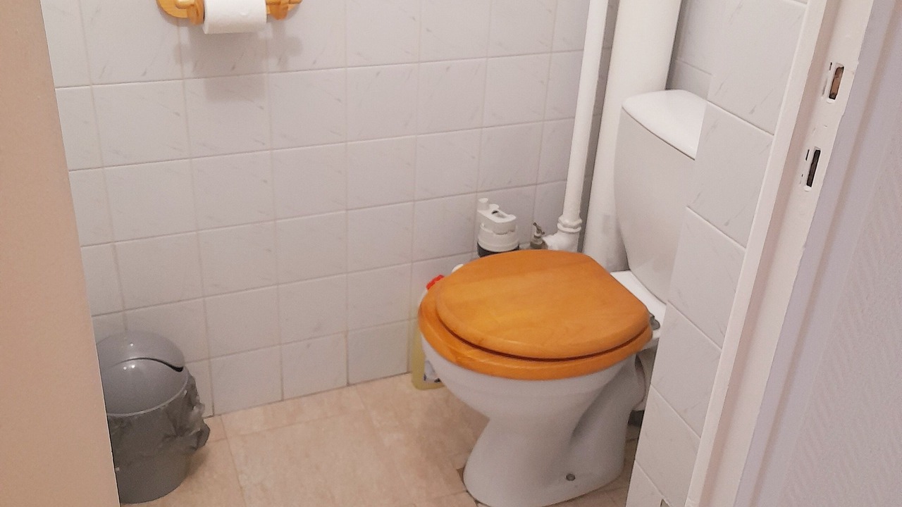 Photo of Bathroom in Bas-Vernet