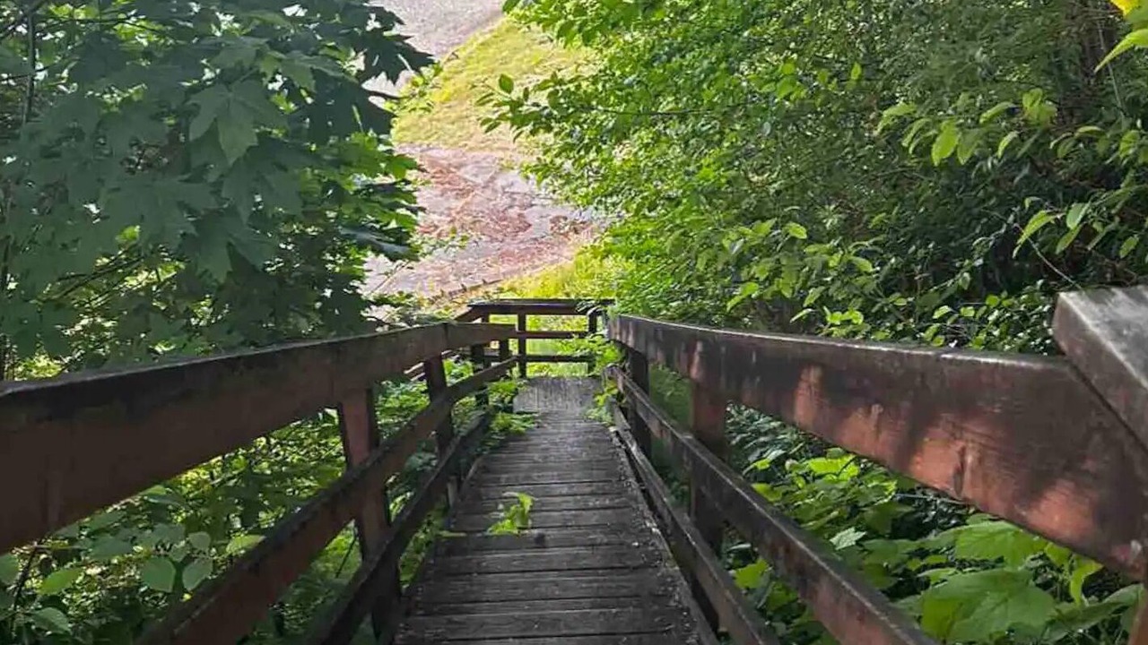 Photo of Outdoor in Tillicum