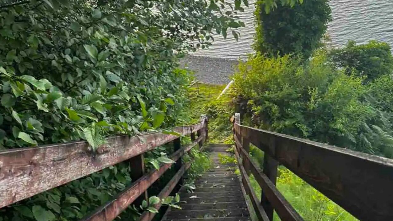 Photo of Others in Tillicum